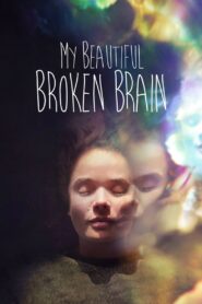 My Beautiful Broken Brain 2014 on netflix