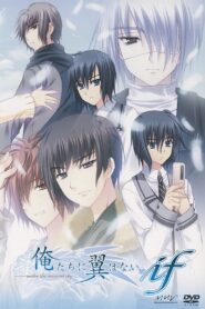 Oretachi ni Tsubasa wa Nai: Hadairo Ritsu Kyuuwari Zou!? 2011 on netflix