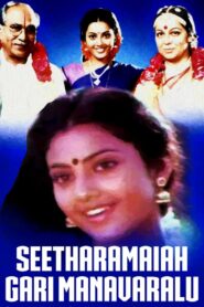 Seetharamaiah Gari Manavaralu 1991 on netflix