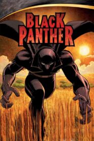 Black Panther 2010 on netflix