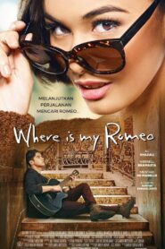 LDR 2: Where Is My Romeo 2015 on netflix