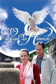 Wink des Himmels 2005 on netflix