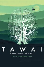Tawai: A Voice from the Forest 2017 on netflix