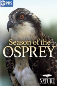 Season of the Osprey 2021 on netflix
