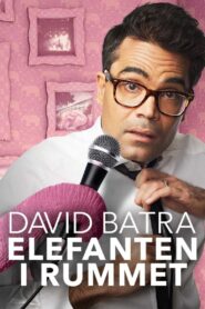 David Batra: Elephant in The Room 2020 on netflix
