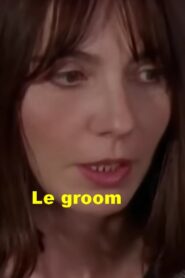 Le Groom 1995 on netflix