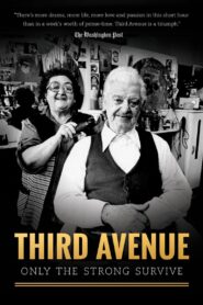 Third Avenue: Only the Strong Survive 1980 on netflix
