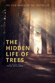 The Hidden Life of Trees 2020 on netflix