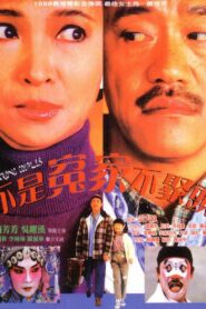The Wrong Couples 1987 on netflix