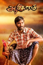 Aadukalam 2011 on netflix