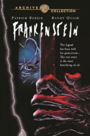 Frankenstein 1993 on netflix