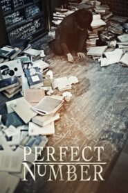 Perfect Number 2012 on netflix