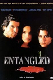 Entangled 1993 on netflix