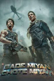 Bade Miyan Chote Miyan 2024 on netflix