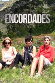 Encordades 2014 on netflix