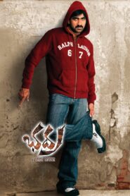 Bhadra 2005 on netflix