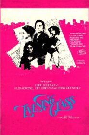 Evening Class 1980 on netflix