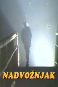 The Overpass 1987 on netflix