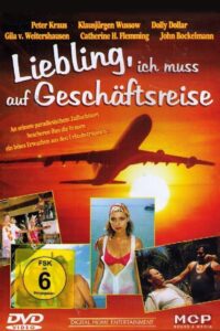 Liebling, ich muß auf Geschäftsreise 1995 on netflix