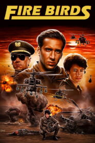 Fire Birds 1990 on netflix
