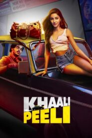 Khaali Peeli 2020 on netflix