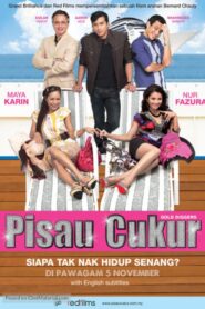 Gold Diggers 2009 on netflix