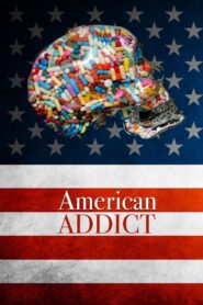 American Addict 2012 on netflix