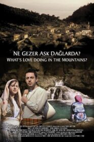 Ne Gezer Aşk Dağlarda? 2005 on netflix