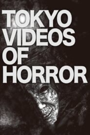 Tokyo Videos of Horror 2012 on netflix