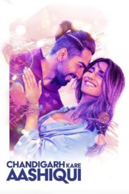 Chandigarh Kare Aashiqui 2021 on netflix