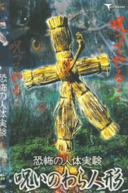 Terrifying Human Experiment: Cursed Straw Doll 2002 on netflix