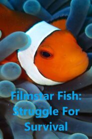 Filmstar Fish: Struggle For Survival 2011 on netflix
