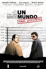 Un mundo casi perfecto 2011 on netflix