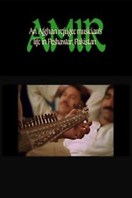 Amir: An Afghan Refugee Musician’s Life in Peshawar, Pakistan 1985 on netflix