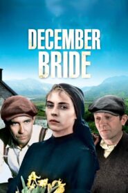 December Bride 1990 on netflix