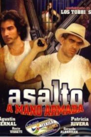 Asalto a mano armada 1996 on netflix