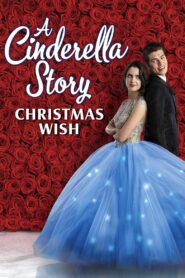 A Cinderella Story: Christmas Wish 2019 on netflix
