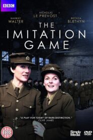 The Imitation Game 1980 on netflix