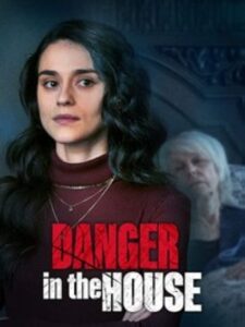 Danger in the House 2022 on netflix