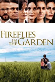 Fireflies in the Garden 2008 on netflix