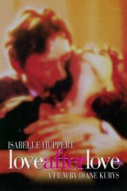 Love After Love 1992 on netflix