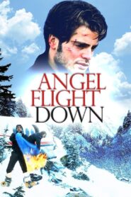 Angel Flight Down 1996 on netflix