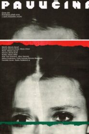 Pavučina 1987 on netflix