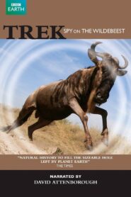 Trek – Spy on the Wildebeest 2007 on netflix