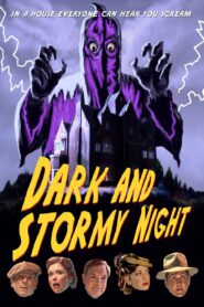 Dark and Stormy Night 2009 on netflix