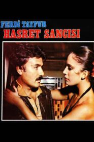 Hasret Sancısı 1982 on netflix