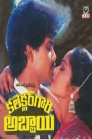 Collector Gari Abbai 1987 on netflix