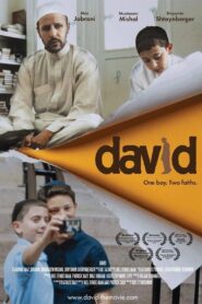 David 2011 on netflix