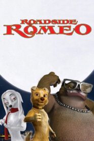 Roadside Romeo 2008 on netflix
