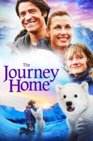 Midnight Sun 2014 on netflix